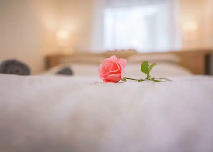 Eleven House 度假居